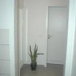 Koeln Appartement Köln